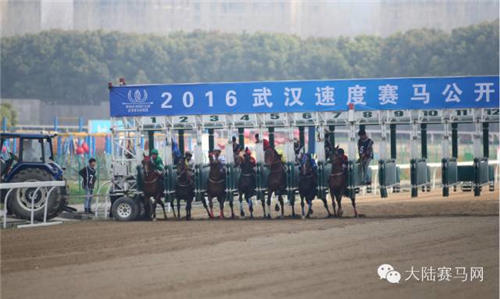 周六北京�、武汉两地同时跑马：还有相亲会和钢琴音乐会等着你