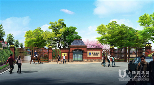 南京一中专将开马术专业 专业教练月收入过万