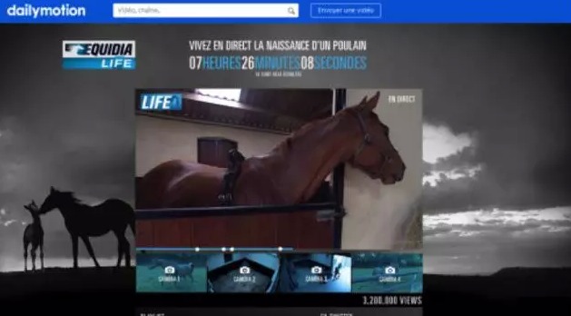 法国乐马+Equidia+乐视+大陆赛马网：360度呈现戴安娜大奖赛