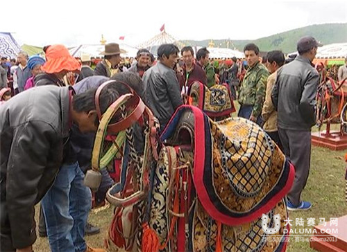 香格里拉五月赛马节	：“民间马器具”展评活动受欢迎