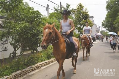 南京高淳慢城将建马术俱乐部