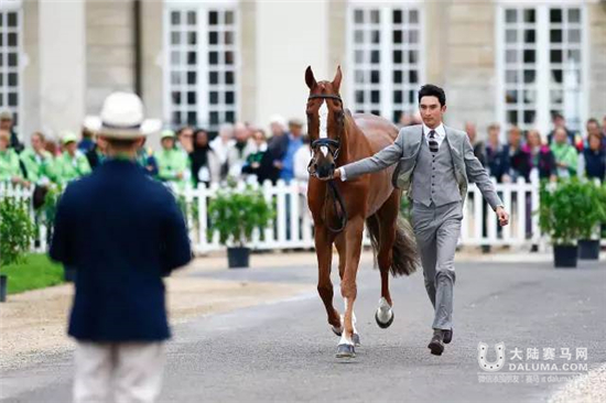 中国骑士华天:我想再战 10 届奥运会13.jpg