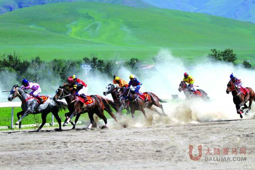 2016年中国速度赛马大奖赛·那拉提站精彩开赛