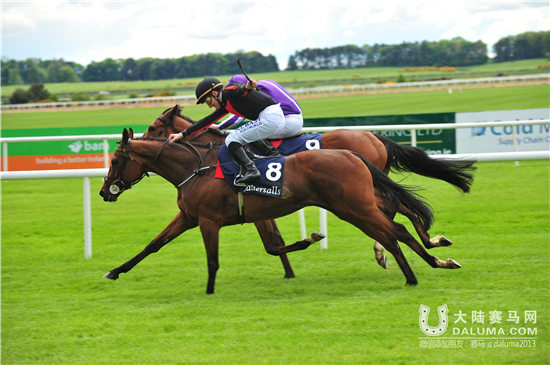 卫冕皇后加盟CHC皇家爱斯科特战队 (1).jpg