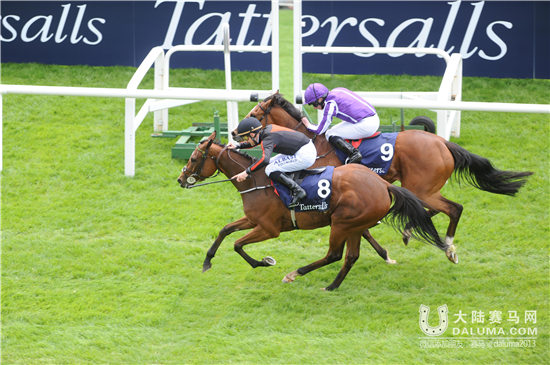 卫冕皇后加盟CHC皇家爱斯科特战队 (2).jpg