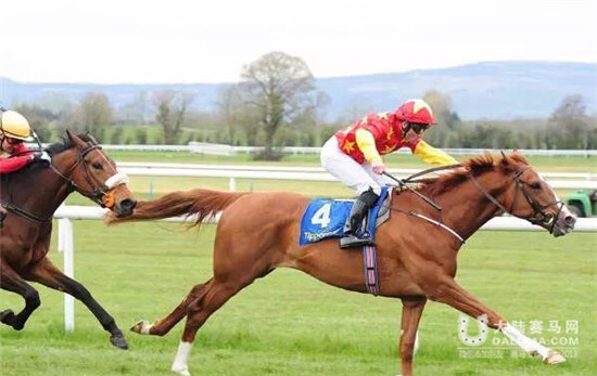 卫冕皇后加盟CHC皇家爱斯科特战队 (7).jpg