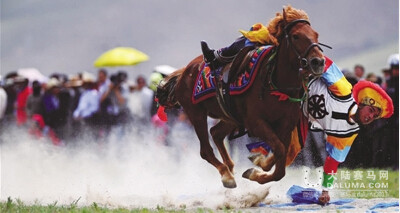 西藏自治区马术协会计划在青少年中推广马术运动