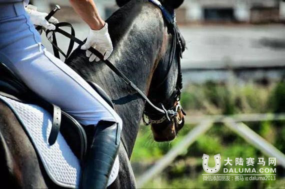 人先自正方能御马！骑术学习当从感觉入手进入精神