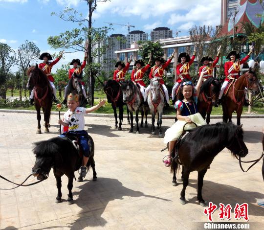 厦门建成青少年马术运动培训基地 可与动物互动体验2.jpg