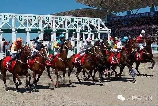 单场最高50万!两大国字号速度赛马内蒙古新疆两地激情上演 6.jpg