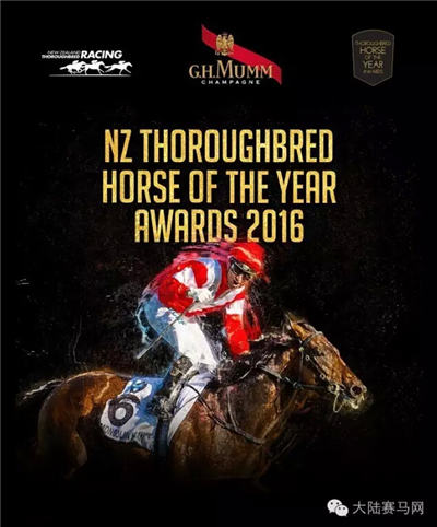 史上第七匹：莱德旗下“蒙古可汗”蝉联新西兰年度马王
