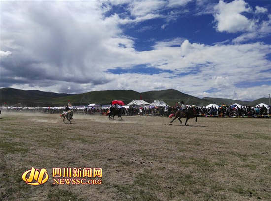 稻城登秋节开幕 马术表演引人注目