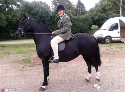 奶奶级骑手驻颜有秘籍!英国81岁老太参加马术表演获第二 2.jpg