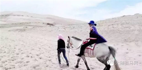 奶奶级骑手驻颜有秘籍!英国81岁老太参加马术表演获第二 5.jpg