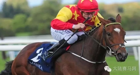 CHC三天连夺三冠:“白富美”爱尔兰轻取30万冠军奖金 大陆赛马网.jpg