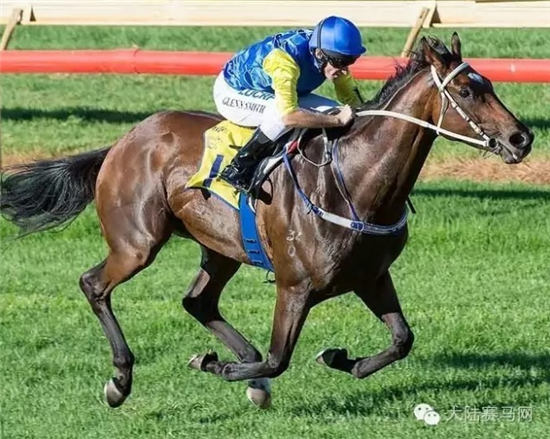 赛马“黑心巴特”(Black Heart Bart) 大陆赛马网.jpg