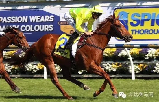 赛马“他或她”(He Or She) 大陆赛马网.jpg