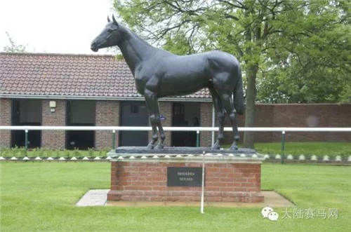 你认识20世纪英国和爱尔兰最伟大的一匹赛马么?3.jpg