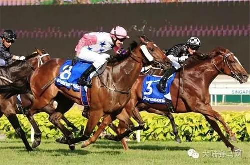 新加坡三冠王首赛结束,你知道这两家中国赛马俱乐部的新加坡布局么?1.png