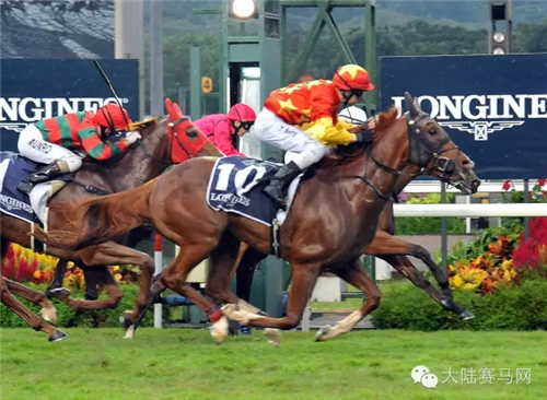 新加坡三冠王首赛结束,你知道这两家中国赛马俱乐部的新加坡布局么?2.png