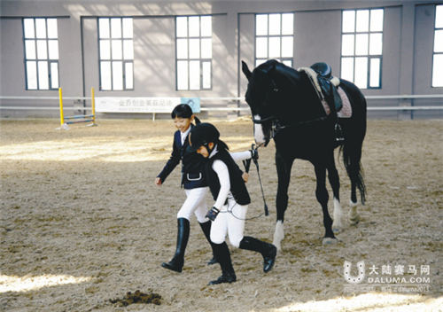 2016年沈阳马术障碍赛暨沈阳运动马展示展览会29日举行