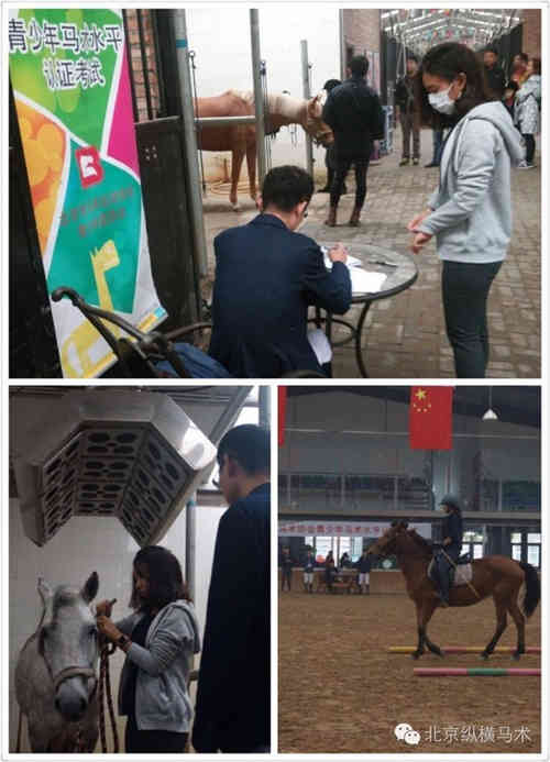 纵横积分联赛见证人马相伴成长的心路历程