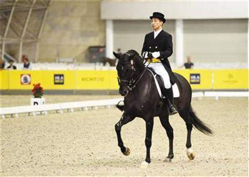 “海澜之家”杯2016全国马术盛装舞步锦标赛举行