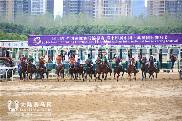 2016中国武汉国际赛马节圆满落幕：六宗“最”打造赛马盛宴