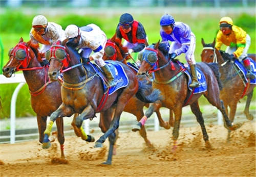 武汉赛马节成就“赛马之都”