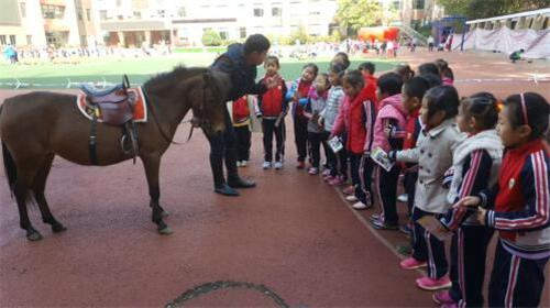沈河区青教办开展“马术进校园”学生体验活动