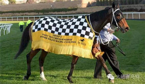 首位赢得墨尔本杯的华裔:他和他的马成为澳大利亚的骄傲4.jpg