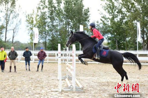 世界知名马术专家来华授课 旨在打造中国马术人才