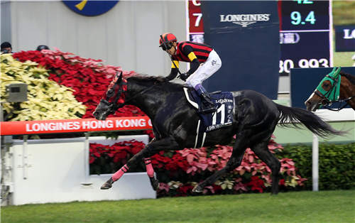 浪琴表香港国际赛事报名马匹星光熠熠3.jpg