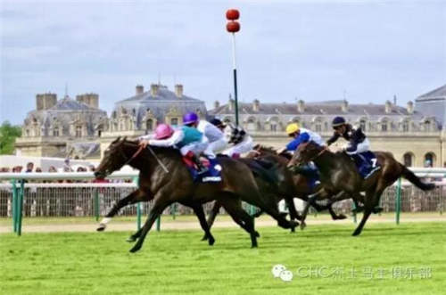 最新世界最佳赛马排名:CHC杰士马主俱乐部占据五席6.jpg