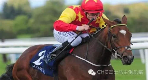 最新世界最佳赛马排名:CHC杰士马主俱乐部占据五席9.jpg
