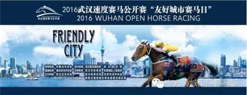 武汉赛马连接全球五个城市：友好城市主题赛马日19日温情上演
