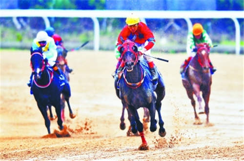 “友好城市赛马日” 尽显国际化