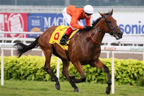 韦纪力一马平川 “巴哈纳”为瑞尔士首圆金杯梦1.jpg