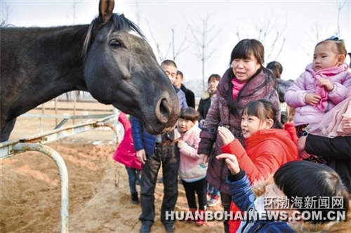 唐山万骏马术俱乐部为听障儿童开通“爱心通道”