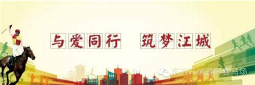武汉“慈善赛马日”周六举行：北京马协年度赛事同场收官