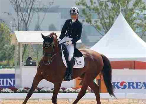 三星集团承认曾送崔顺实女儿一匹马 价值10亿韩元3.jpg