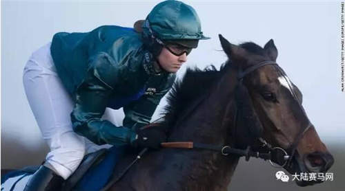未来马术和赛马都将成为女骑师的天下?2.jpg