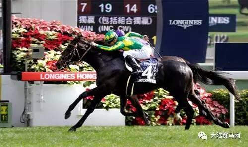8300万的2016香港国际赛事对中国大陆赛马的启示2.jpg
