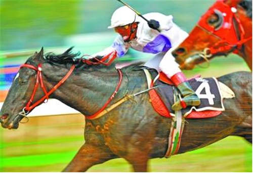 年度总决赛上四度称王 骑师王迪加冕“年度冠军骑师”