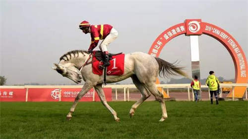中国马业协会启动2017赛事计划4.jpg