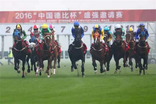 中国马业协会启动2017赛事计划5.jpg