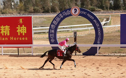 2016云南·内蒙古“一带一路”马文化嘉年华圆满落幕