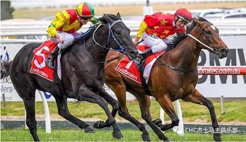 CHC三岁赛马“转变”两连胜,入围200万澳币奖金大赛名单1.jpg