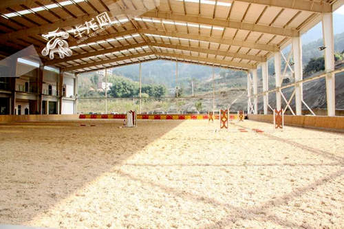 渝北又添新耍事 元旦去御峰马会体验马术乐趣