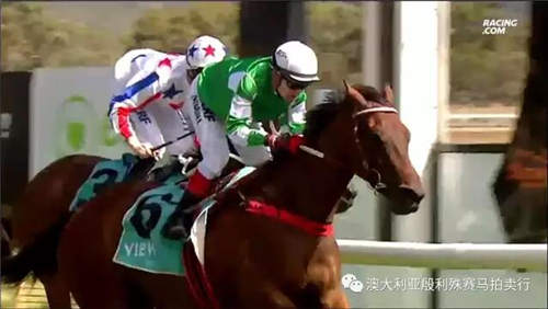200万赛事奖金赞助,殷利殊持续助力中国赛马!6.jpg